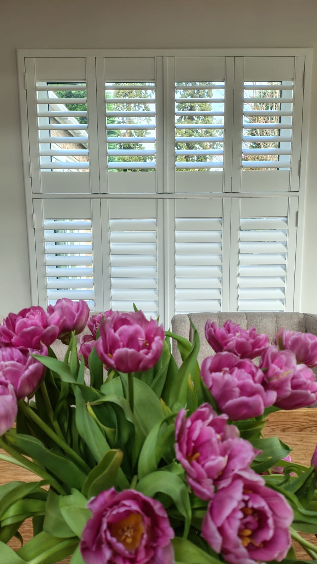 Tier-on-tier shutters with pink tulips in foreground